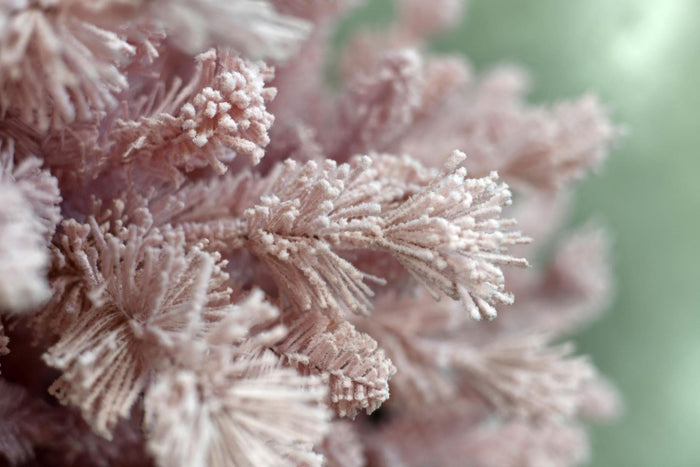 Teddy Pink kunstkerstboom - 180 cm - roze - Ø 97 cm - 658 tips