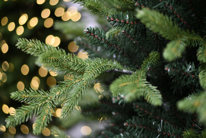 Famiflora Sherwood kunstkerstboom - 150 cm - groen - Ø 114 cm - 1668