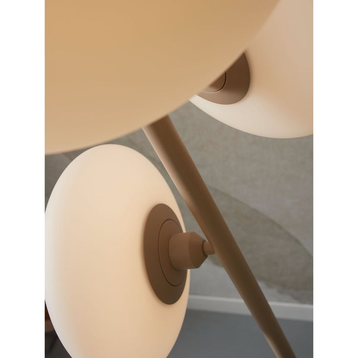 ed9cff85-ed7b-422b-a3f5-2c419b88ea01-afbeelding4.jpg (7649429) 