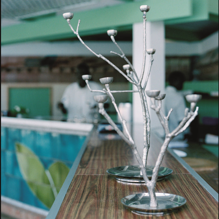 POLSPOTTEN Twiggy Kandelaar L - Zilver