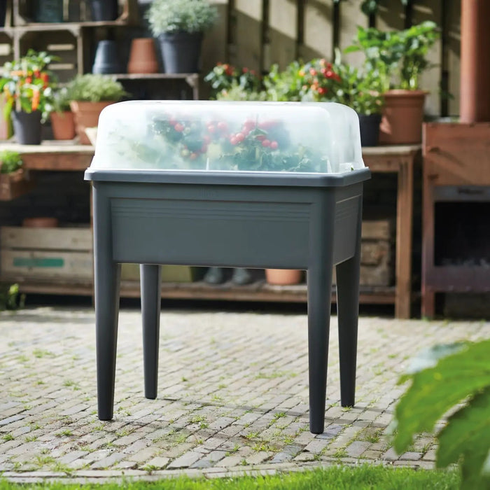 elho Green Basics Kweekhuis Super XXL