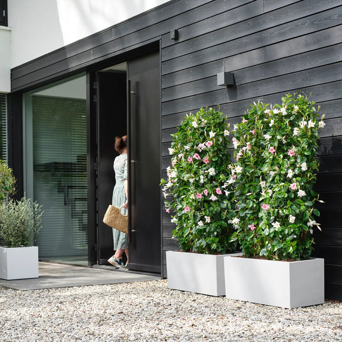 elho Vivo Next Plantenbak B 80 cm - Wit