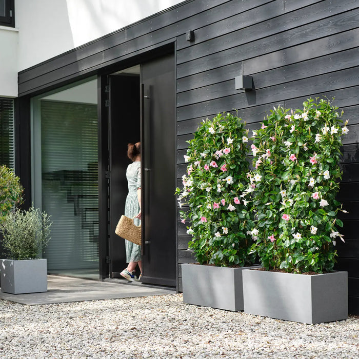 elho Vivo Next Plantenbak B 80 cm - Grijs