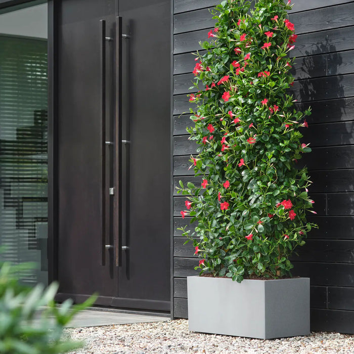 elho Vivo Next Plantenbak B 80 cm - Grijs