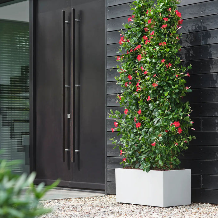 elho Vivo Next Plantenbak B 60 cm - Wit