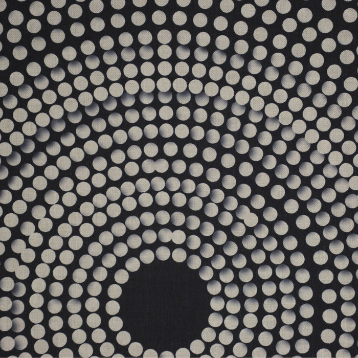 316336-x01.jpg (7706341) 