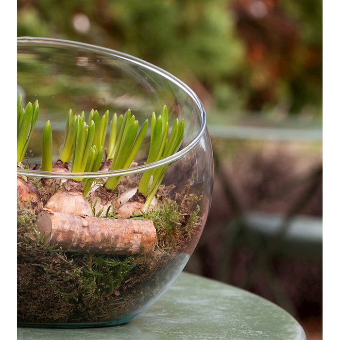 c84c5af8-5a22-40eb-957a-631e6e1ef366-sfeerbeeld.jpg (7713236) 