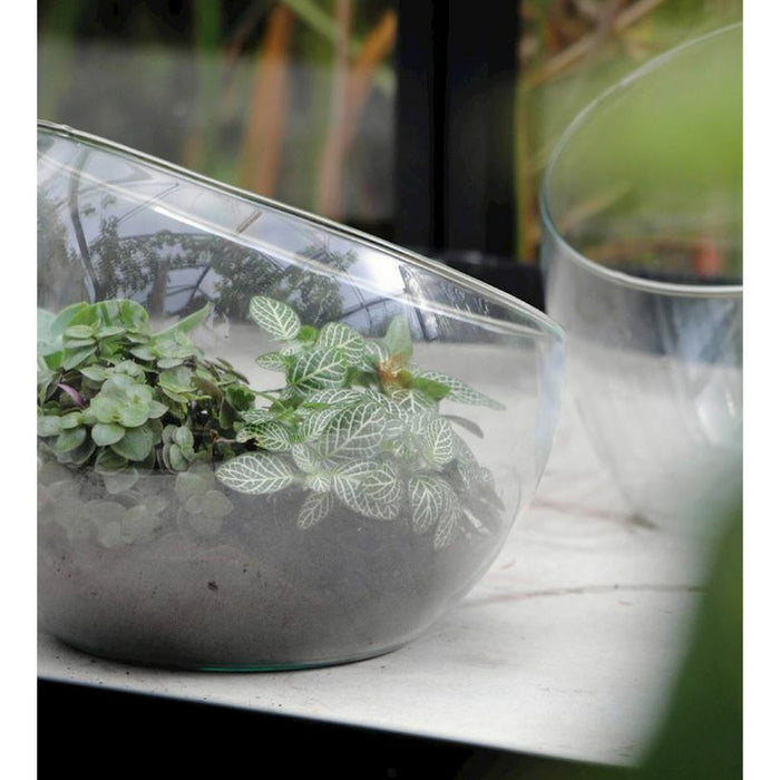 c84c5af8-5a22-40eb-957a-631e6e1ef366-afbeelding4.jpg (7713240) 