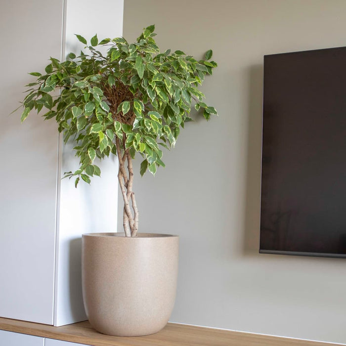 b5be7042-8d66-43a4-aa67-09881388375e-afbeelding7.jpg (7721296) 