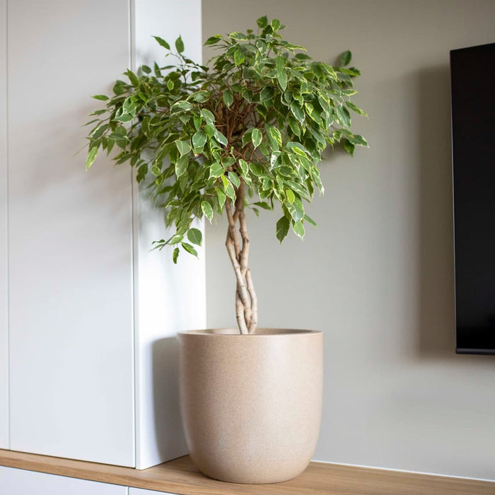 b5be7042-8d66-43a4-aa67-09881388375e-afbeelding8.jpg (7721300) 