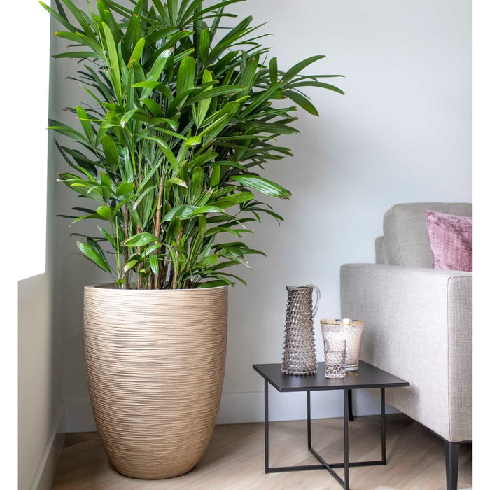 4608c2f2-aa61-4a94-afa2-14be0d285084-afbeelding7.jpg (7721353) 