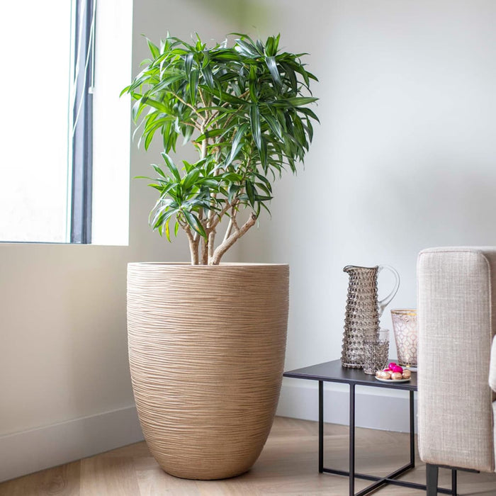 4608c2f2-aa61-4a94-afa2-14be0d285084-afbeelding9.jpg (7721359) 