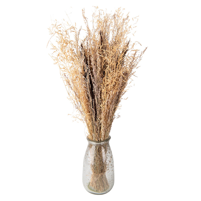 6fb8f400-09eb-4220-889c-49594c5c3ec0-afbeelding11.jpg (7739482) 