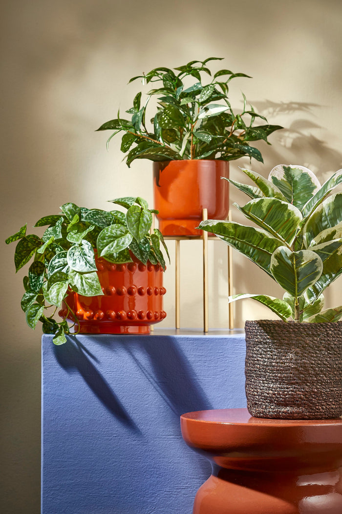 5cc47db0-732c-4236-b177-265bccbc8924-afbeelding11.jpg (7740333) 