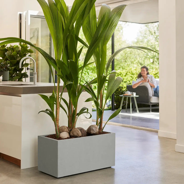 elho Vivo Next Plantenbak B 60 cm - Grijs