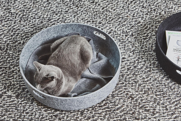 93d7b11f-087d-4f54-b67e-d9fc9c0f82df-afbeelding4.jpg (7755552) 