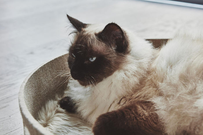 93d7b11f-087d-4f54-b67e-d9fc9c0f82df-afbeelding5.jpg (7755554) 