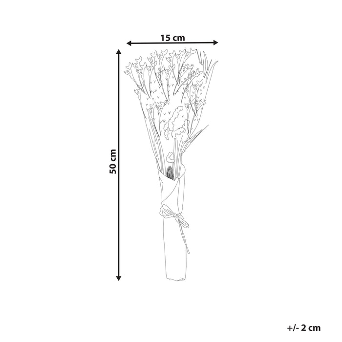 c5d10869-3796-40df-92cc-8119f14a311a-afbeelding11.jpg (7790078) 