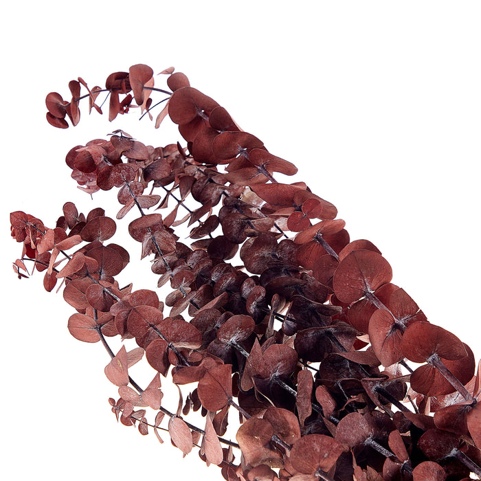 28b402fa-d1c2-4630-8505-e96092ac5fe7-afbeelding4.jpg (7794339) 