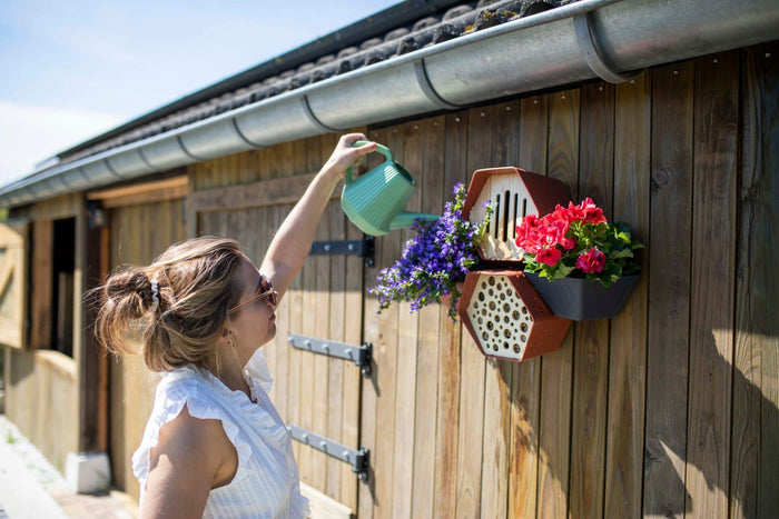 Capi Europe Waterbak Hive  Antraciet