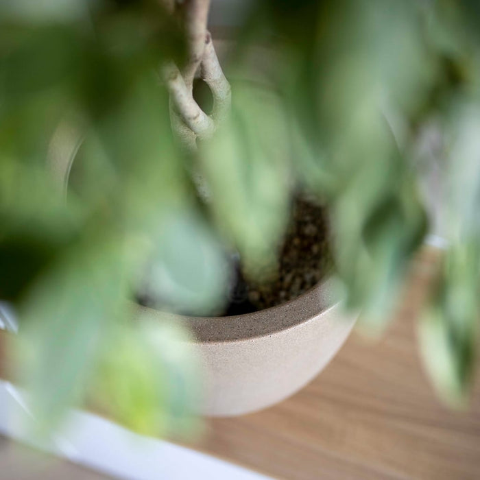 b5be7042-8d66-43a4-aa67-09881388375e-afbeelding6.jpg (7798344) 