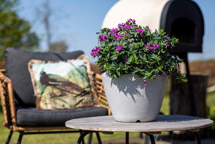 Capi Europe Bloempot bol Arc Granite - 34x25 - Wit