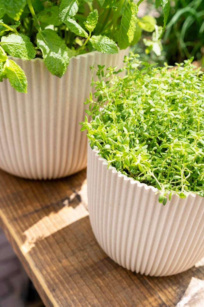 372163cc-9256-4db0-a038-2a73314032ec-sfeerbeeld.jpg (7804634) 