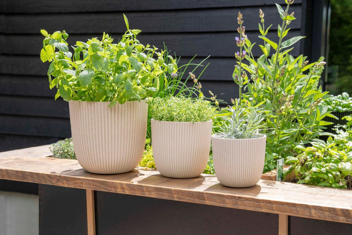 372163cc-9256-4db0-a038-2a73314032ec-afbeelding4.jpg (7804638) 