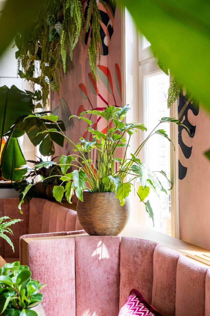 e039ce1a-f5c2-4edd-9d88-da1abbafea9b-afbeelding3.jpg (7804785) 