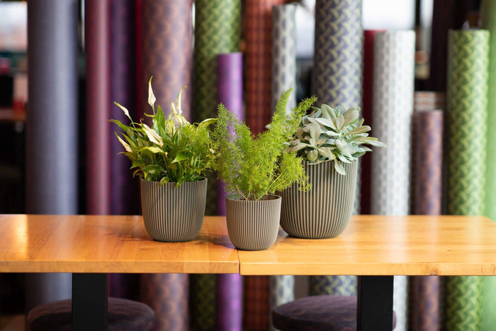 af0ba090-789f-42aa-923d-84b175911566-sfeerbeeld.jpg (7804847) 