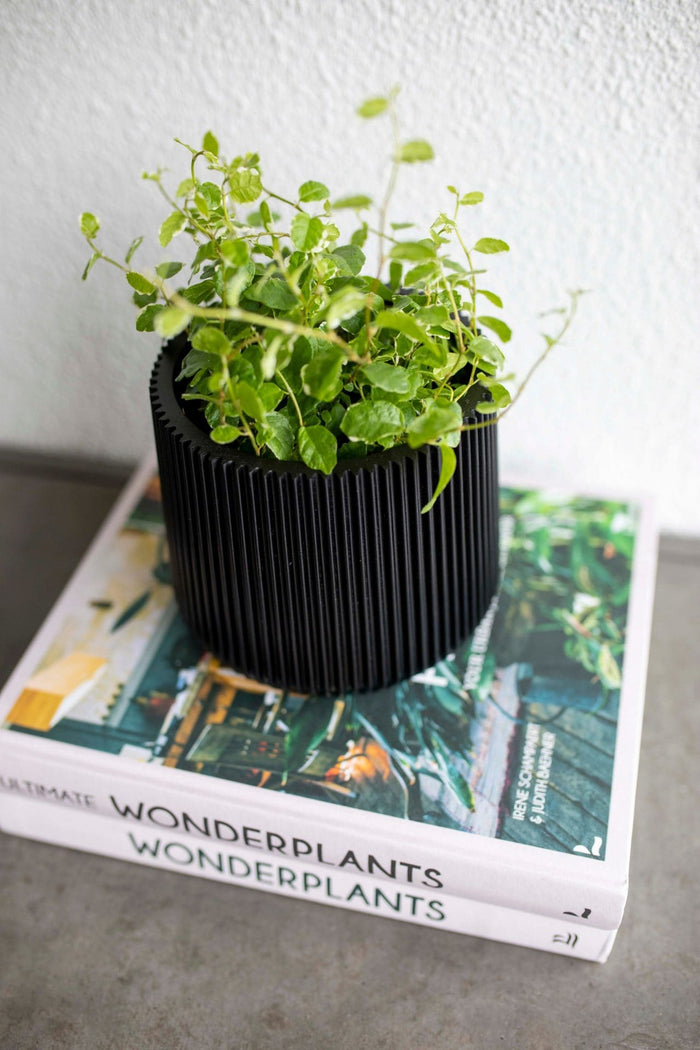 630468e3-bd1a-4440-a9b3-dccd8ec0bb68-afbeelding3.jpg (7805069) 