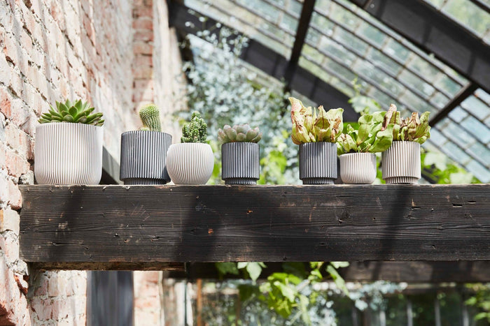 1773e7d3-96e7-4a69-9432-fc217006109e-sfeerbeeld.jpg (7805220) 