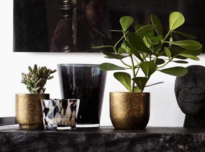 e6689479-355b-44ce-bd59-8231577e5738-afbeelding4.jpg (7805406) 