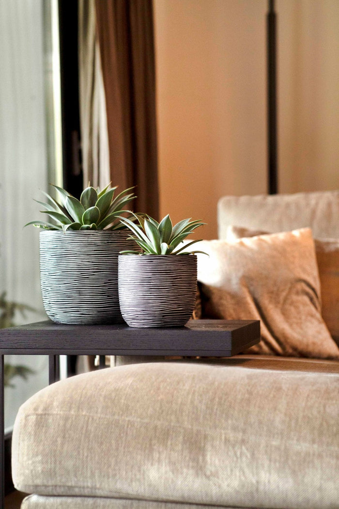 5069c3c5-a925-4fde-9326-0da3d7a1b4e4-afbeelding5.jpg (7805421) 