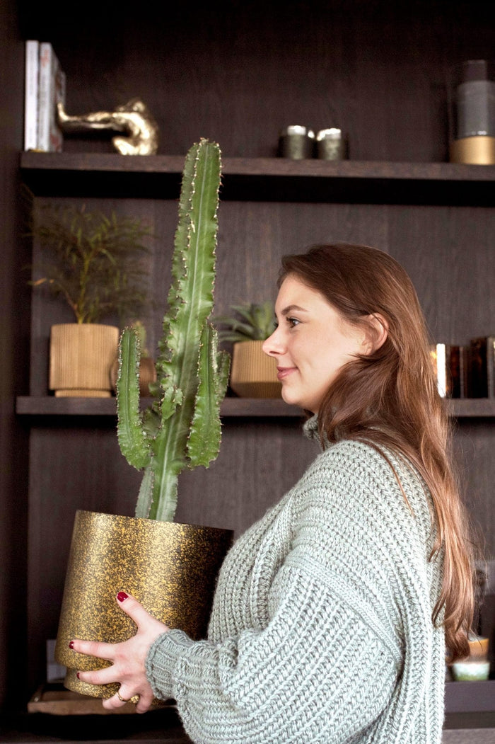 529ce72f-eb92-413b-89b8-31788a6677c9-afbeelding3.jpg (7805485) 