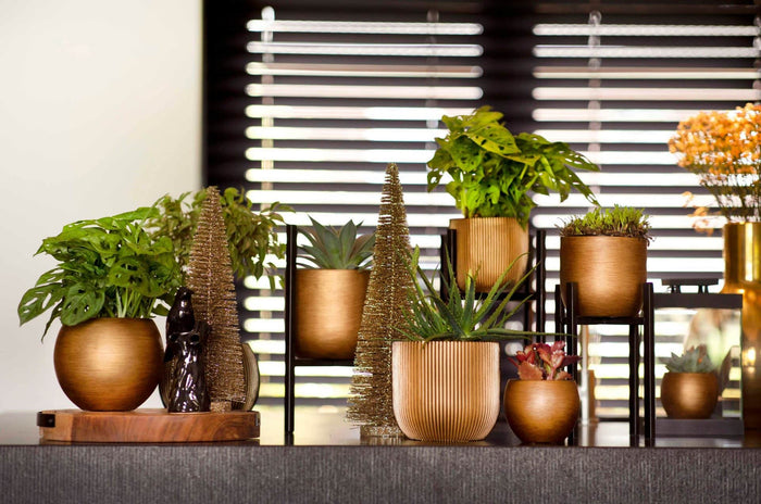 66811393-0e0e-4be0-812d-f69e3d3b5054-afbeelding3.jpg (7805662) 