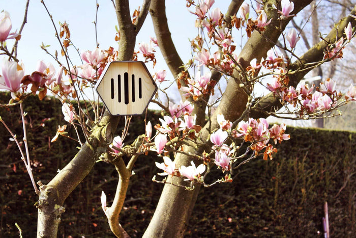 Capi Europe - Vlinderhuisje Hive - 19x23x20 - Bruin