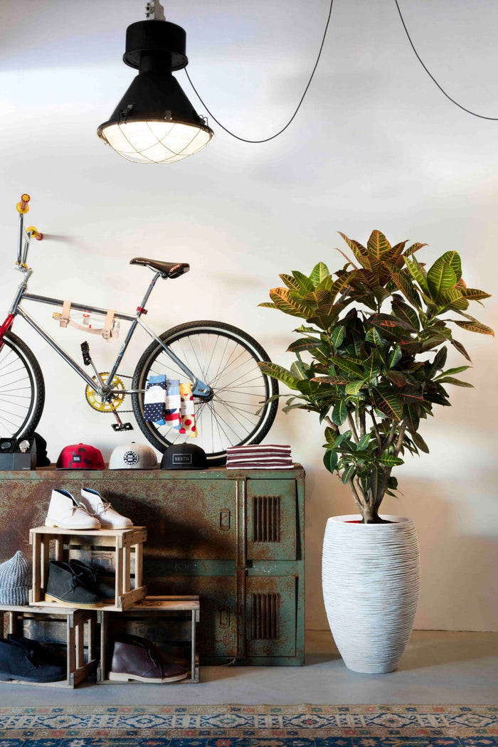 Capi Europe Vaas elegant deluxe Rib NL - 38x58 - Goud