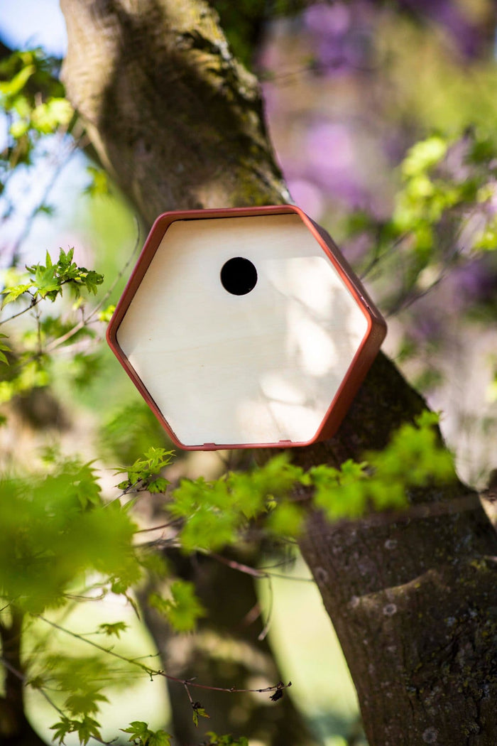 Capi Europe - Vogelhuisje rond Hive - 19x23x20 - Bruin