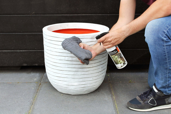 2710b96d-7feb-4187-bfba-cfba5e500561-sfeerbeeld.jpg (7806213) 