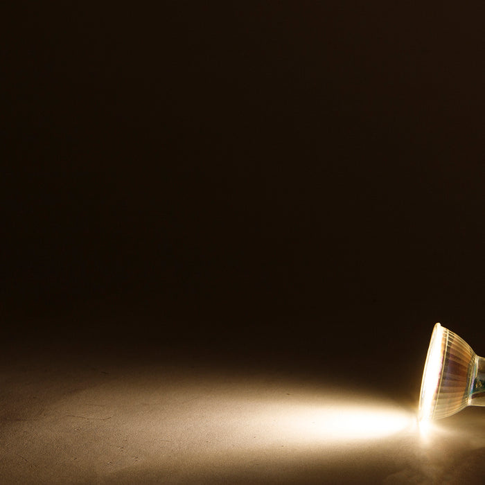 e246acce-4d27-40f0-be54-968dea8e8fe7-afbeelding9.jpg (7809877) 