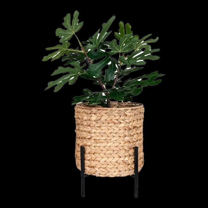 de7a5fa7-e6f0-4173-b660-0a36f330e985-sfeerbeeld.jpg (7816154) 