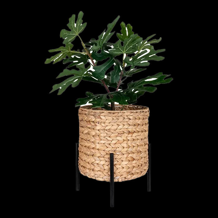 de7a5fa7-e6f0-4173-b660-0a36f330e985-afbeelding3.jpg (7816156) 