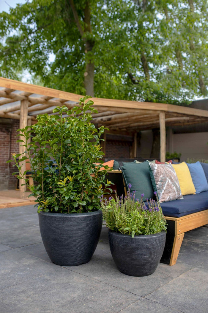 Capi Europe Bloempot bol Arc Granite - 156x90 - Antraciet