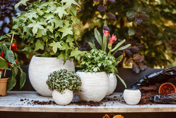 2cf8ad0a-203d-40d1-bfe9-23cf8305cf81-afbeelding5.jpg (7818685) 