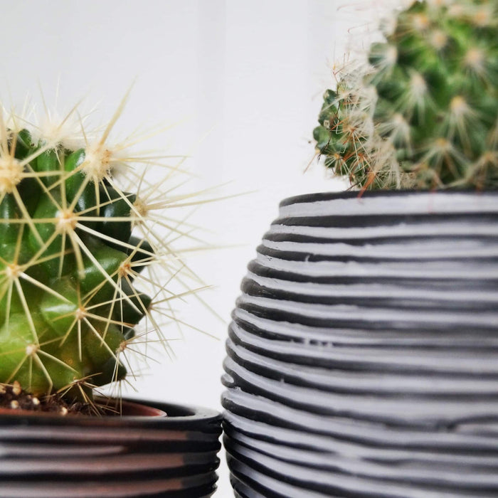 5069c3c5-a925-4fde-9326-0da3d7a1b4e4-afbeelding3.jpg (7818951) 