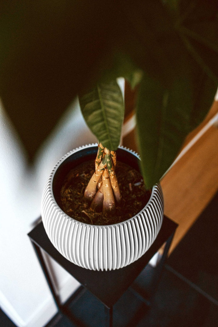 8a4db055-ba81-44e7-9411-73f530f8ec04-afbeelding4.jpg (7818989) 