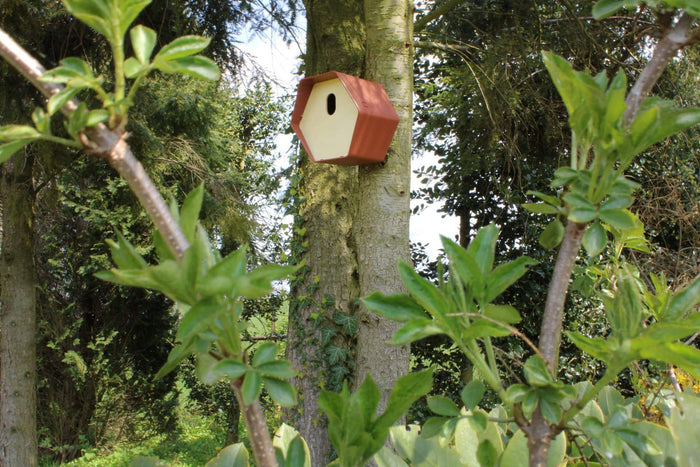 Capi Europe - Vogelhuisje ovaal Hive - 19x23x20 - Bruin