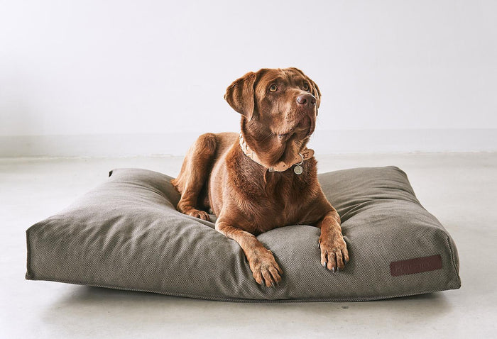 2acc3ee6-970d-48d4-9fc9-a8f110cb0e48-sfeerbeeld.jpg (7837238) 