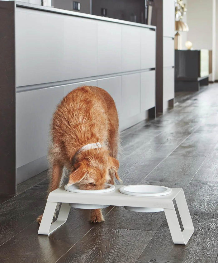 MiaCara Desco hondenvoerbak porselein medium essen naturel